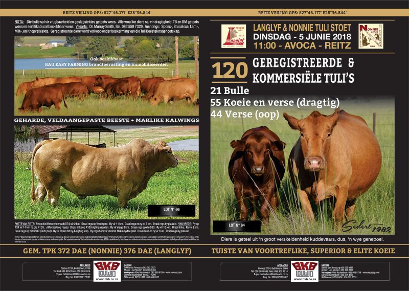 Tuli Cattle Auction - June 5, 2018