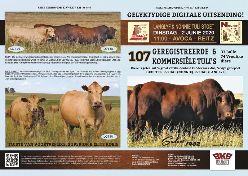 Tuli Cattle Auction - June 2, 2020