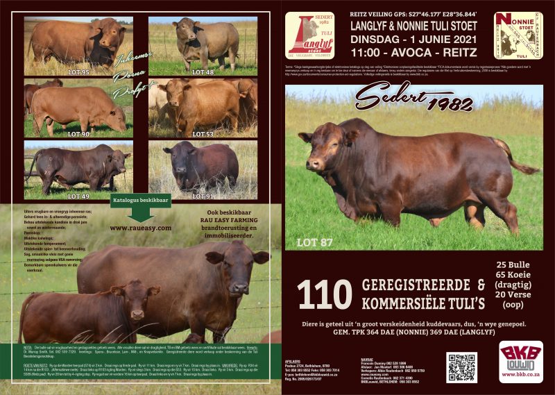Tuli Cattle Auction - June 1, 2021